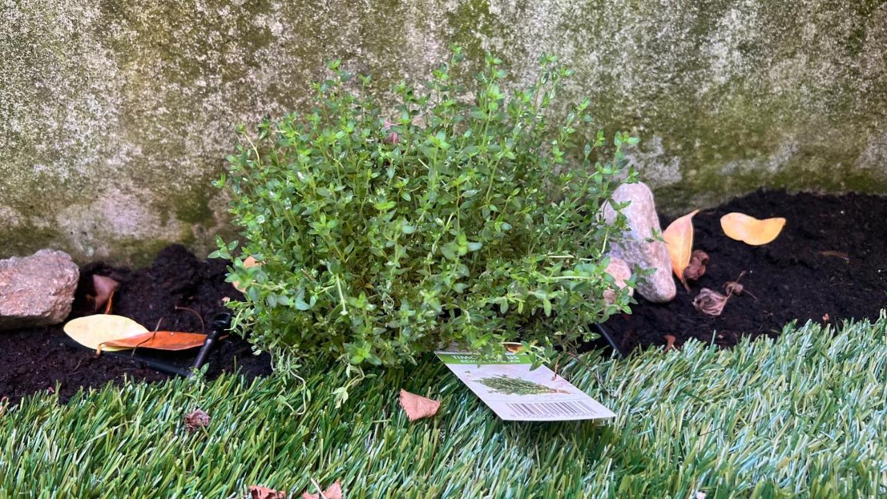 Garden Suite Bolzano Eksteriør bilde