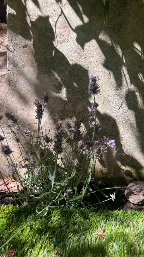 Garden Suite Bolzano Eksteriør bilde
