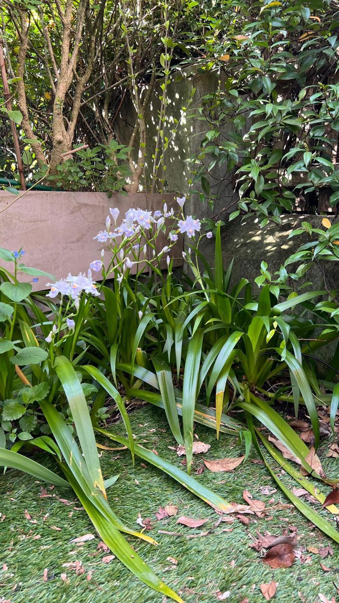 Garden Suite Bolzano Eksteriør bilde