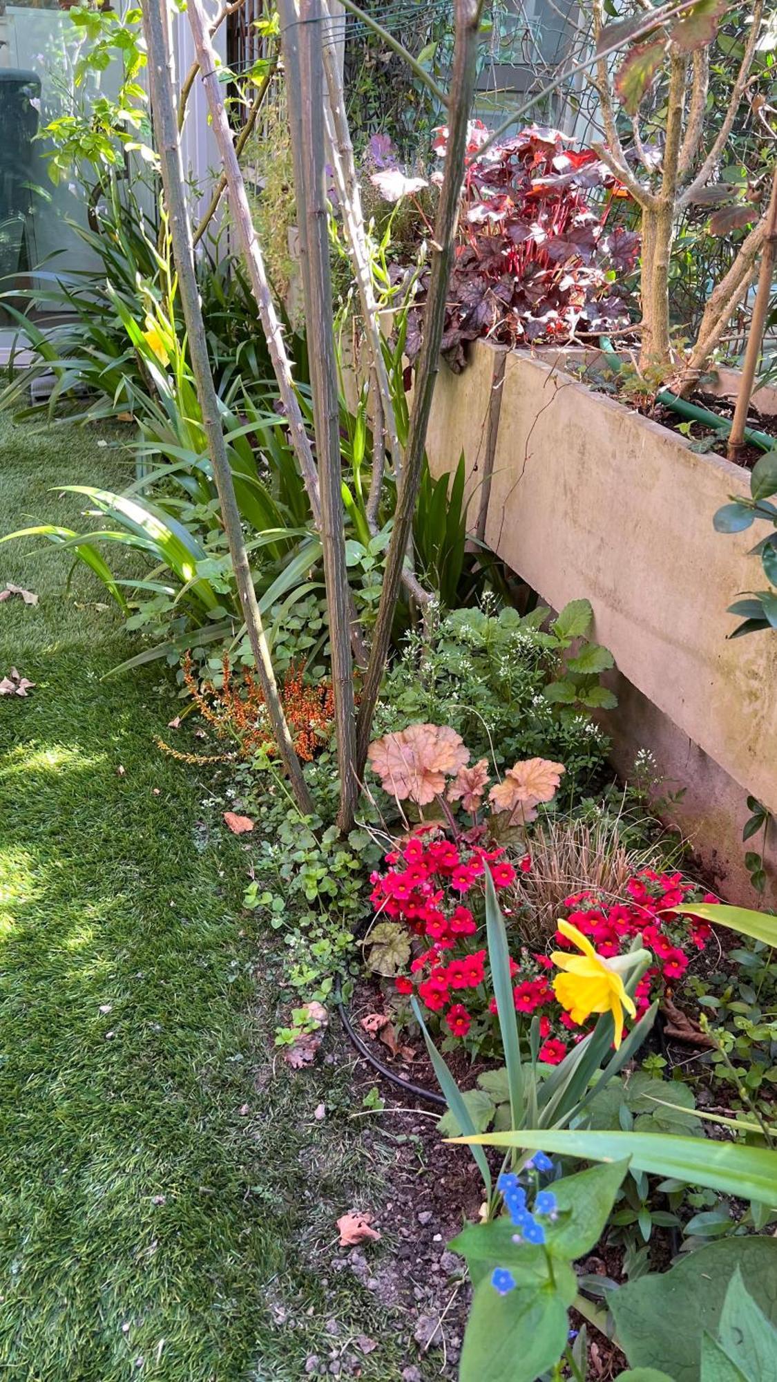 Garden Suite Bolzano Eksteriør bilde